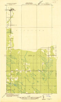 Pickford SE Michigan Historical topographic map, 1:31680 scale, 7.5 X 7.5 Minute, Year 1931