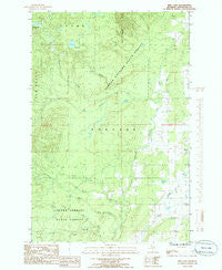 Pine Lake Michigan Historical topographic map, 1:24000 scale, 7.5 X 7.5 Minute, Year 1984