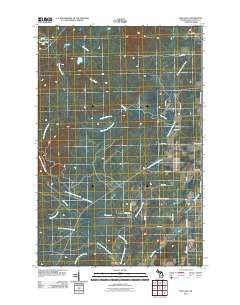 Pine Lake Michigan Historical topographic map, 1:24000 scale, 7.5 X 7.5 Minute, Year 2011
