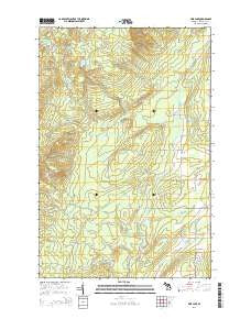 Pine Lake Michigan Historical topographic map, 1:24000 scale, 7.5 X 7.5 Minute, Year 2014