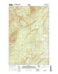 Pine Lake Michigan Current topographic map, 1:24000 scale, 7.5 X 7.5 Minute, Year 2016