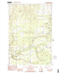 Platte River Michigan Historical topographic map, 1:25000 scale, 7.5 X 7.5 Minute, Year 1983