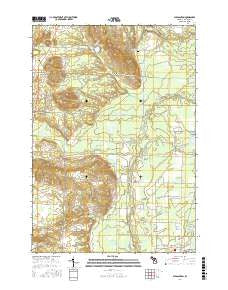 Pleasanton Michigan Current topographic map, 1:24000 scale, 7.5 X 7.5 Minute, Year 2017