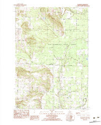 Pleasanton Michigan Historical topographic map, 1:25000 scale, 7.5 X 7.5 Minute, Year 1982