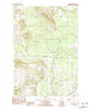 Pleasanton Michigan Historical topographic map, 1:25000 scale, 7.5 X 7.5 Minute, Year 1982