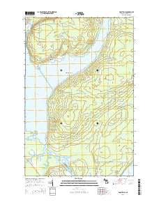 Point Mills Michigan Historical topographic map, 1:24000 scale, 7.5 X 7.5 Minute, Year 2014