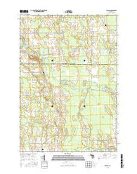 Polaski Michigan Current topographic map, 1:24000 scale, 7.5 X 7.5 Minute, Year 2016