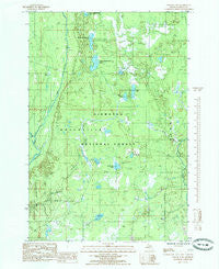Poplar Lake Michigan Historical topographic map, 1:24000 scale, 7.5 X 7.5 Minute, Year 1985