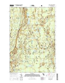 Poplar Lake Michigan Historical topographic map, 1:24000 scale, 7.5 X 7.5 Minute, Year 2014
