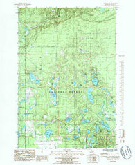 Powell Lake Michigan Historical topographic map, 1:24000 scale, 7.5 X 7.5 Minute, Year 1985