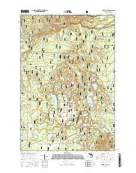 Powell Lake Michigan Current topographic map, 1:24000 scale, 7.5 X 7.5 Minute, Year 2017