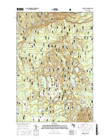 Powell Lake Michigan Current topographic map, 1:24000 scale, 7.5 X 7.5 Minute, Year 2017