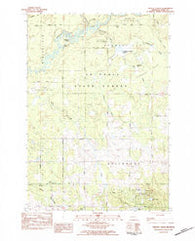 Prestle Creek Michigan Historical topographic map, 1:25000 scale, 7.5 X 7.5 Minute, Year 1983