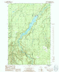 Prickett Lake Michigan Historical topographic map, 1:24000 scale, 7.5 X 7.5 Minute, Year 1985