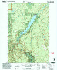 Prickett Lake Michigan Historical topographic map, 1:24000 scale, 7.5 X 7.5 Minute, Year 1999