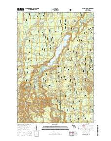 Prickett Lake Michigan Historical topographic map, 1:24000 scale, 7.5 X 7.5 Minute, Year 2014