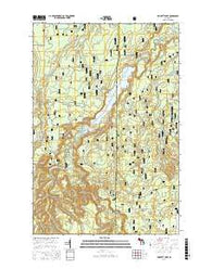 Prickett Lake Michigan Current topographic map, 1:24000 scale, 7.5 X 7.5 Minute, Year 2016