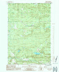 Ralph SW Michigan Historical topographic map, 1:24000 scale, 7.5 X 7.5 Minute, Year 1986