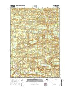 Ralph SW Michigan Current topographic map, 1:24000 scale, 7.5 X 7.5 Minute, Year 2017