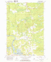 Randville Michigan Historical topographic map, 1:24000 scale, 7.5 X 7.5 Minute, Year 1955