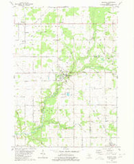 Ravenna Michigan Historical topographic map, 1:24000 scale, 7.5 X 7.5 Minute, Year 1980