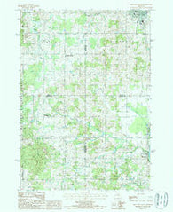 Reed City South Michigan Historical topographic map, 1:24000 scale, 7.5 X 7.5 Minute, Year 1987