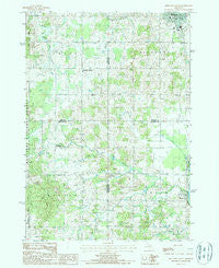 Reed City South Michigan Historical topographic map, 1:24000 scale, 7.5 X 7.5 Minute, Year 1987