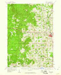 Reed City Michigan Historical topographic map, 1:62500 scale, 15 X 15 Minute, Year 1959