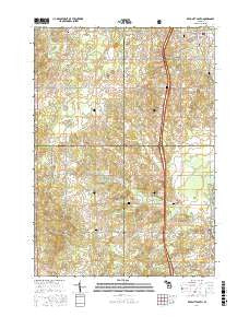 Reed City South Michigan Current topographic map, 1:24000 scale, 7.5 X 7.5 Minute, Year 2017