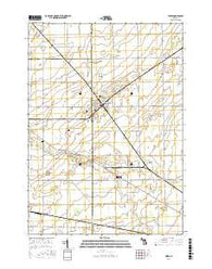 Reese Michigan Current topographic map, 1:24000 scale, 7.5 X 7.5 Minute, Year 2017