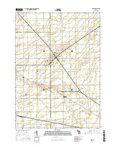 Reese Michigan Current topographic map, 1:24000 scale, 7.5 X 7.5 Minute, Year 2017