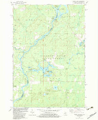Resort Lake Michigan Historical topographic map, 1:24000 scale, 7.5 X 7.5 Minute, Year 1982