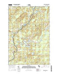 Resort Lake Michigan Historical topographic map, 1:24000 scale, 7.5 X 7.5 Minute, Year 2014