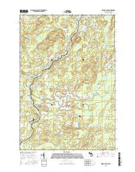 Resort Lake Michigan Current topographic map, 1:24000 scale, 7.5 X 7.5 Minute, Year 2016