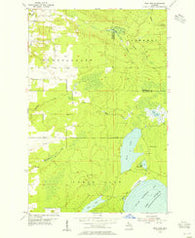 Rice Lake Michigan Historical topographic map, 1:24000 scale, 7.5 X 7.5 Minute, Year 1954