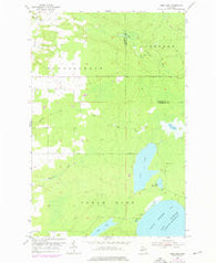 Rice Lake Michigan Historical topographic map, 1:24000 scale, 7.5 X 7.5 Minute, Year 1954
