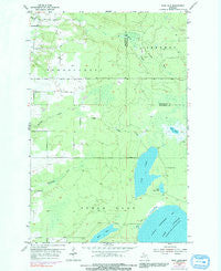 Rice Lake Michigan Historical topographic map, 1:24000 scale, 7.5 X 7.5 Minute, Year 1954