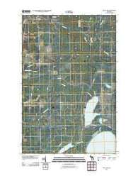 Rice Lake Michigan Historical topographic map, 1:24000 scale, 7.5 X 7.5 Minute, Year 2011