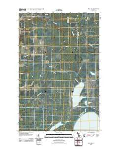 Rice Lake Michigan Historical topographic map, 1:24000 scale, 7.5 X 7.5 Minute, Year 2011