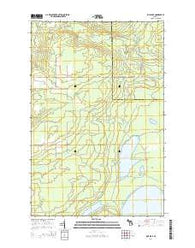Rice Lake Michigan Historical topographic map, 1:24000 scale, 7.5 X 7.5 Minute, Year 2014