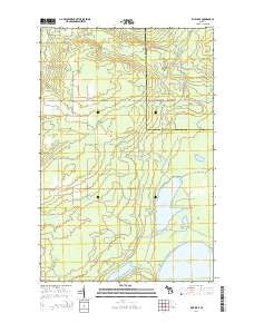 Rice Lake Michigan Historical topographic map, 1:24000 scale, 7.5 X 7.5 Minute, Year 2014