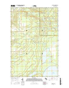 Rice Lake Michigan Current topographic map, 1:24000 scale, 7.5 X 7.5 Minute, Year 2017