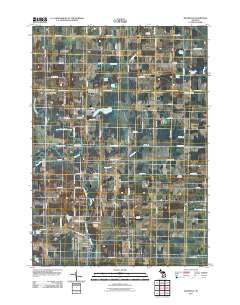 Riverdale Michigan Historical topographic map, 1:24000 scale, 7.5 X 7.5 Minute, Year 2011