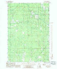 Rock SE Michigan Historical topographic map, 1:24000 scale, 7.5 X 7.5 Minute, Year 1985