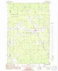 Rock Michigan Historical topographic map, 1:24000 scale, 7.5 X 7.5 Minute, Year 1985
