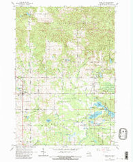 Rose City Michigan Historical topographic map, 1:24000 scale, 7.5 X 7.5 Minute, Year 1965