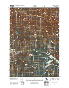 Rose City Michigan Historical topographic map, 1:24000 scale, 7.5 X 7.5 Minute, Year 2012