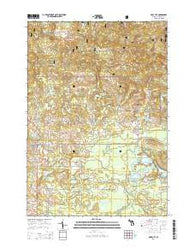 Rose City Michigan Historical topographic map, 1:24000 scale, 7.5 X 7.5 Minute, Year 2014