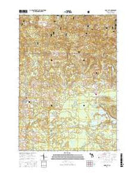 Rose City Michigan Current topographic map, 1:24000 scale, 7.5 X 7.5 Minute, Year 2017