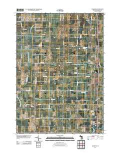 Rosebush Michigan Historical topographic map, 1:24000 scale, 7.5 X 7.5 Minute, Year 2011